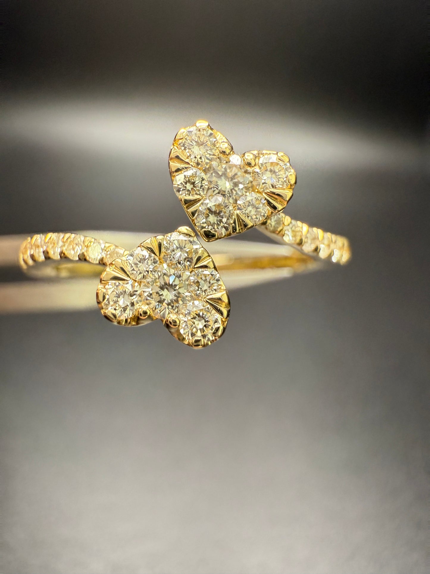 Double Heart Ring