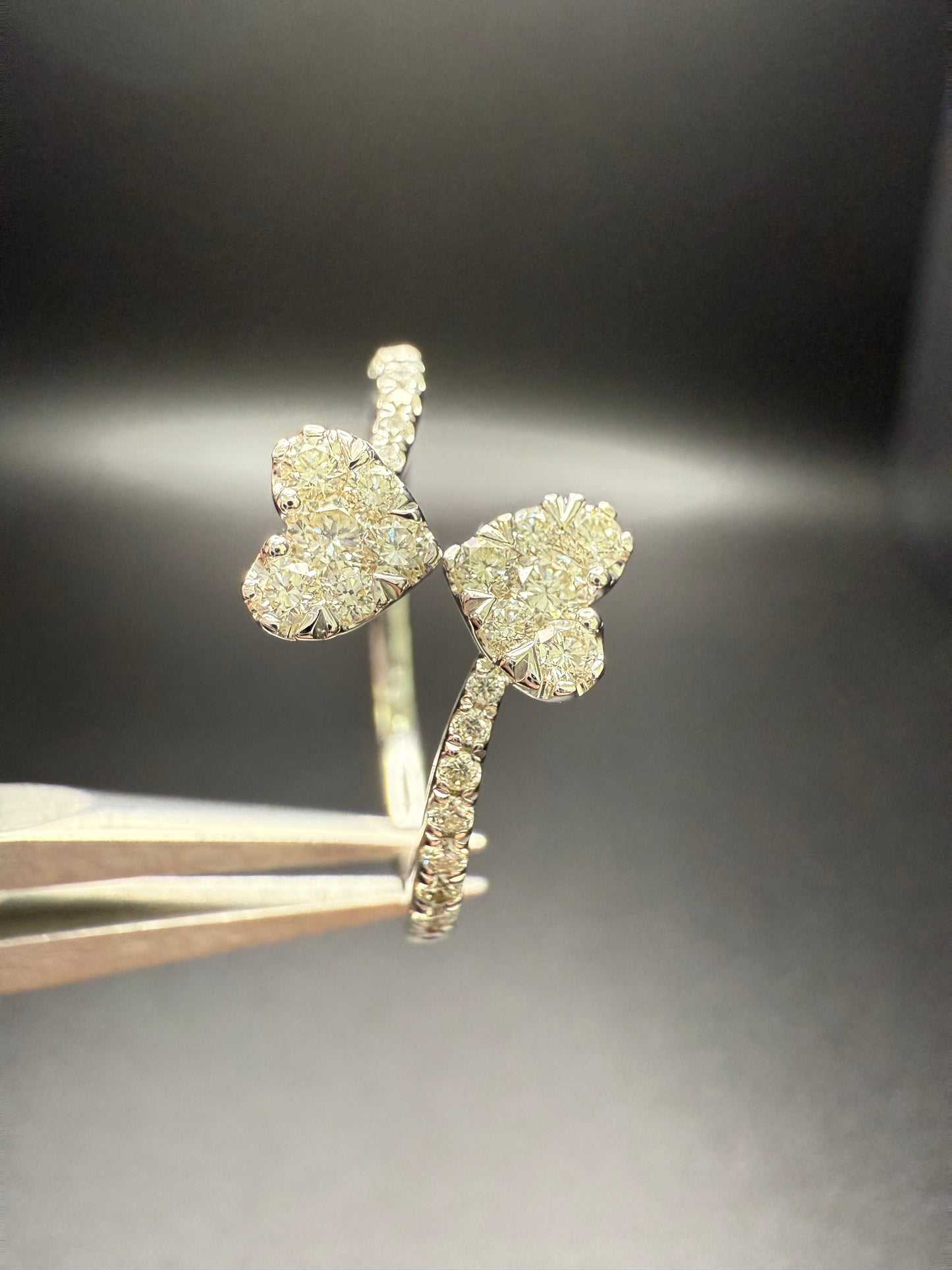 Double Heart Ring